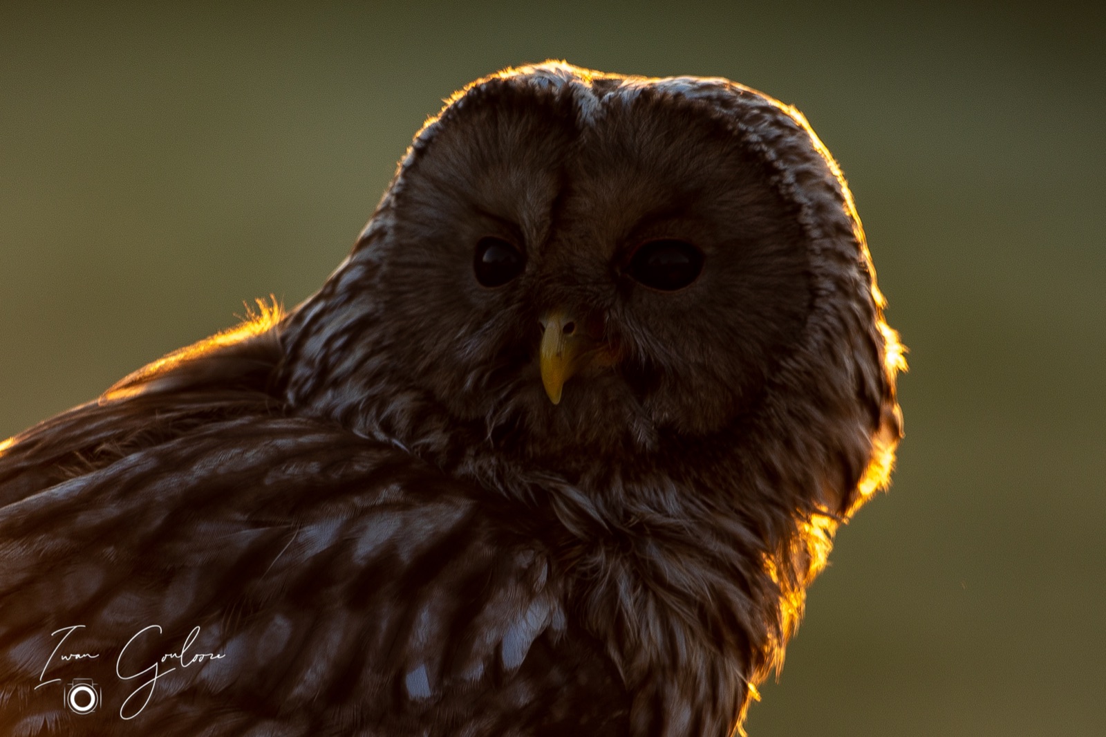 27 april 2022 064504  5D46900